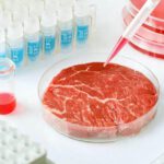 Cómo las carnes cultivadas en laboratorio son una herramienta costosa y poco saludable