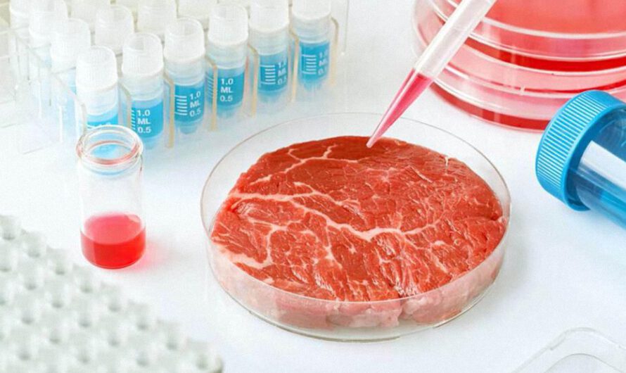 Cómo las carnes cultivadas en laboratorio son una herramienta costosa y poco saludable