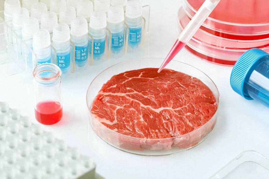 Cómo las carnes cultivadas en laboratorio son una herramienta costosa y poco saludable