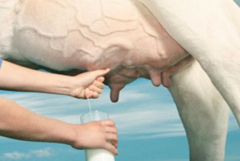 El cáncer y los productos lácteos