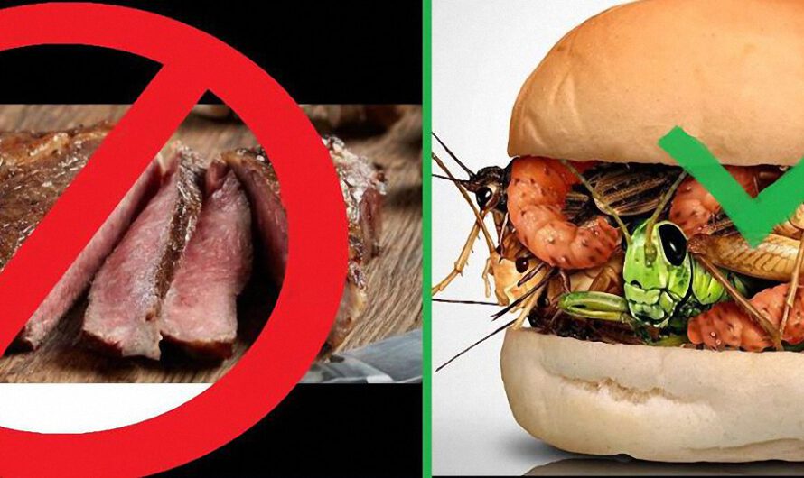 Informe: Las Élites de la Cumbre del Clima comieron «carnes gourmet suculentas» mientras sermonean al mundo para que deje de comerla