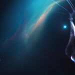 Frecuencia felina: un gato protagoniza el primer video enviado desde el espacio profundo