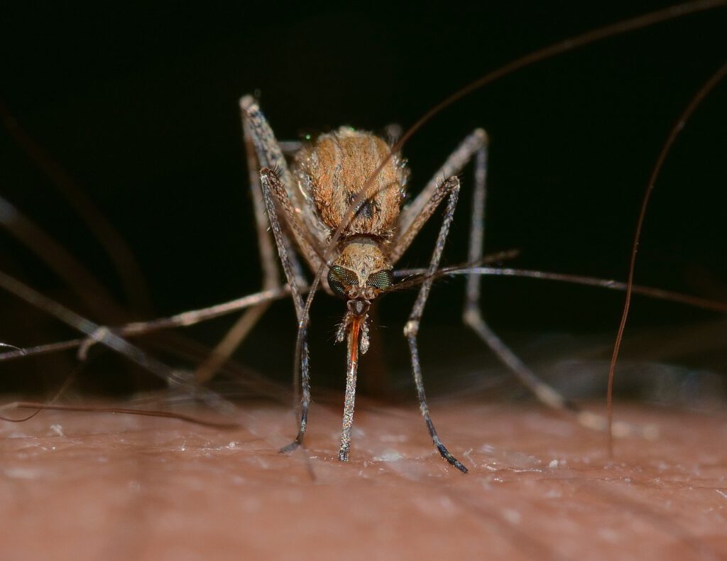 Inventan un ingenioso ‘sistema de defensa antiaérea’ contra mosquitos