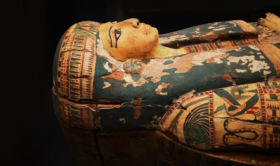 ¡Nos han engañado! Hallazgo en Egipto Deja Perplejos a los Expertos