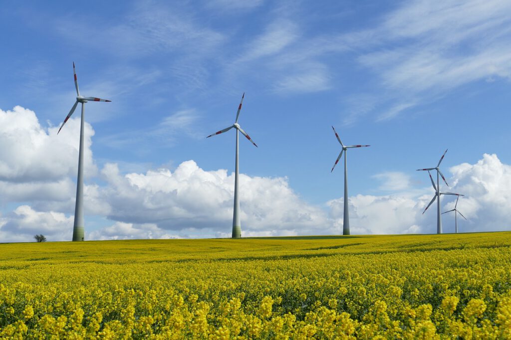 Energía Eólica y Solar ya es insostenible, rumbo al colapso mundial