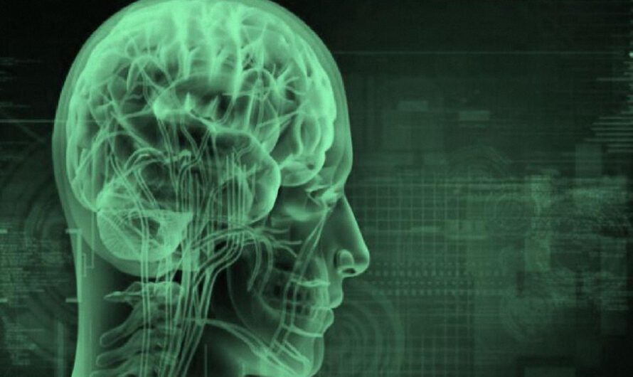 El cerebro es el campo de batalla del futuro. El objetivo declarado del FEM es “alterar al ser humano”