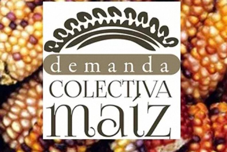 Gran triunfo contra Monsanto en la defensa de maíces nativos y contra el glifosato