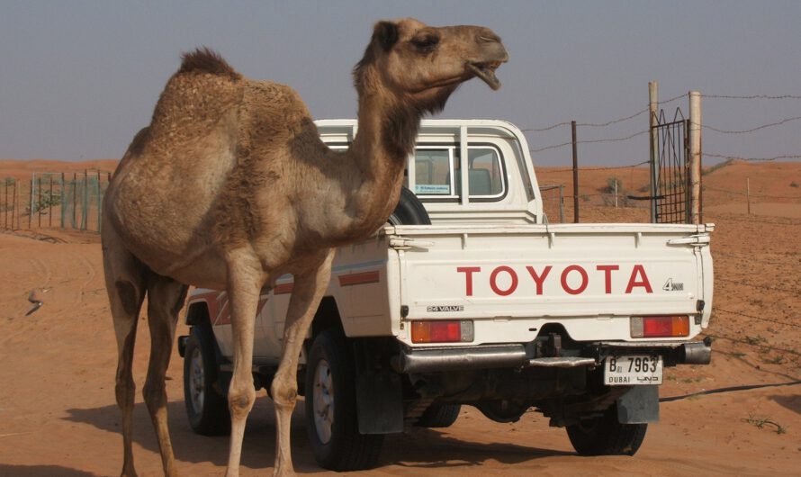 CEO de Toyota: «Nuestro Motor De Amoníaco Es El Fin De Los Vehículos Eléctricos»