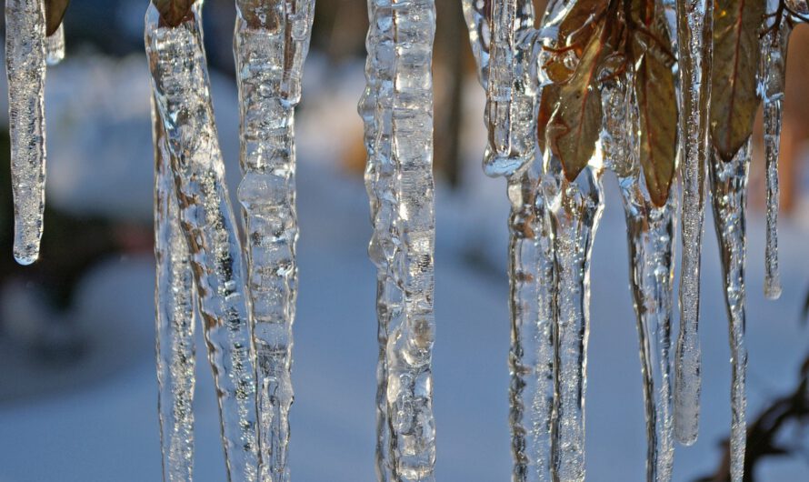 Confundador de Greepeace estalla: «Hace más frío ahora que hace 200 millones de años»