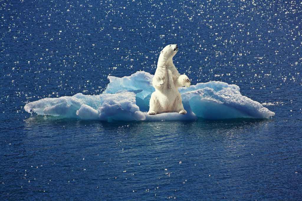 Milei viajará a la Antártida para “combatir el cambio climático” junto a un organismo de Naciones Unidas