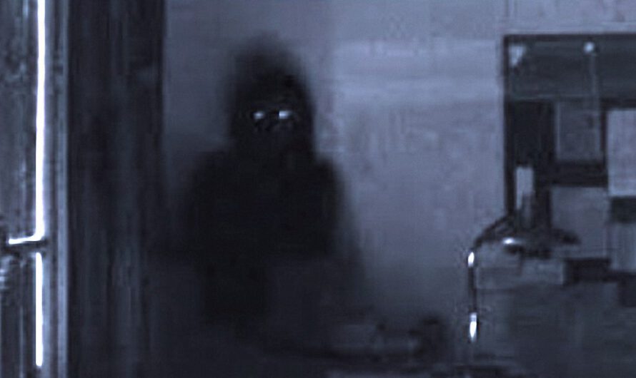 Maestra y alumnos ven una sombra oscura en el salón de clases salieron corriendo presas del pánico