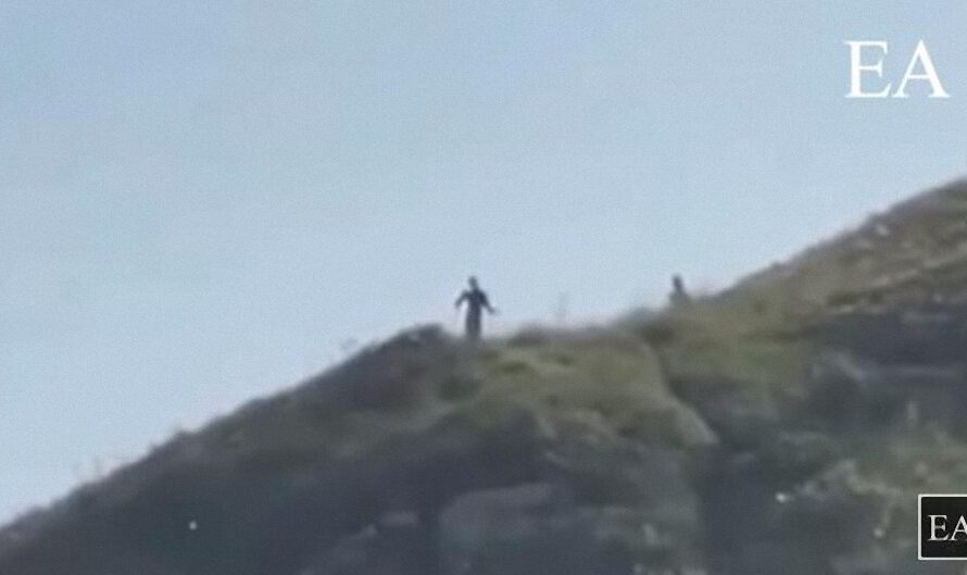 Seres extraños gigantes captados en una montaña en Brasil