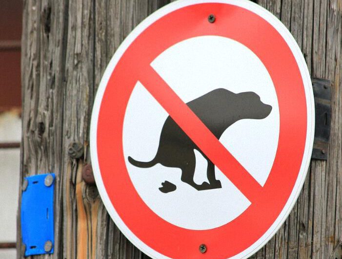 Recogen pruebas de ADN a perros de una provincia italiana para multar a quien no recoja las heces