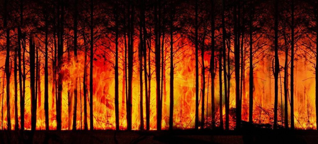 Gobernador chileno confirma «la intencionalidad de los incendios» que dejaron 133 muertos