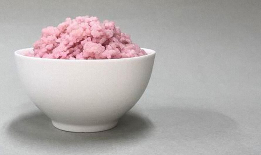Científicos crean un alimento híbrido cultivando células animales en granos de arroz