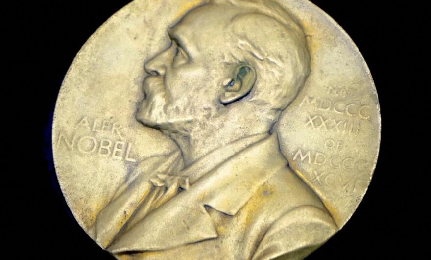 Elon Musk es nominado para el Premio Nobel de la Paz