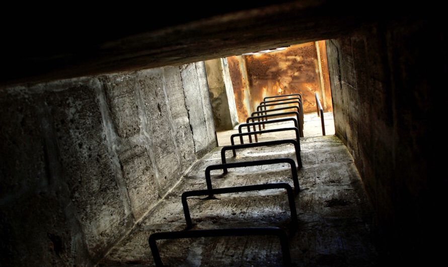 ¿Se acerca el fin del mundo? Revelan construcción de búnkeres y venta de kits de emergencia