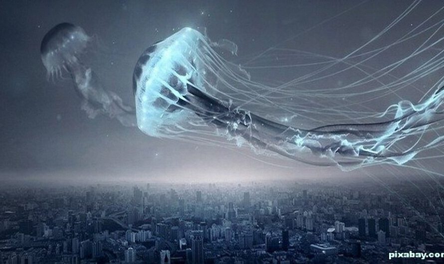 El misterio de las medusas voladoras y los calamares del cielo