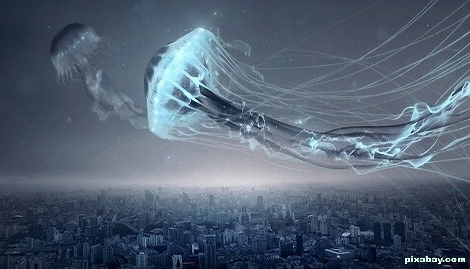 El misterio de las medusas voladoras y los calamares del cielo