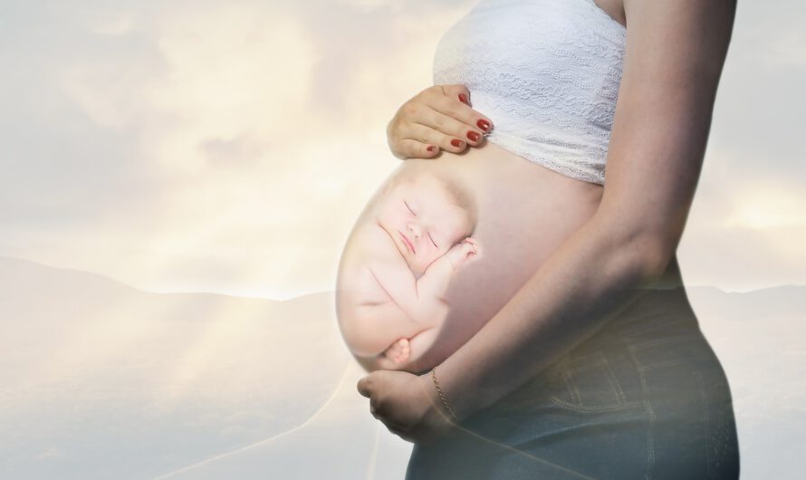 El Tribunal Supremo de Alabama considera «niños» a los embriones congelados