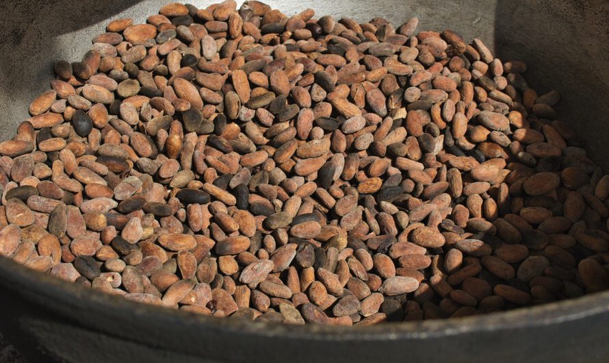 Los precios del cacao se disparan a niveles récords