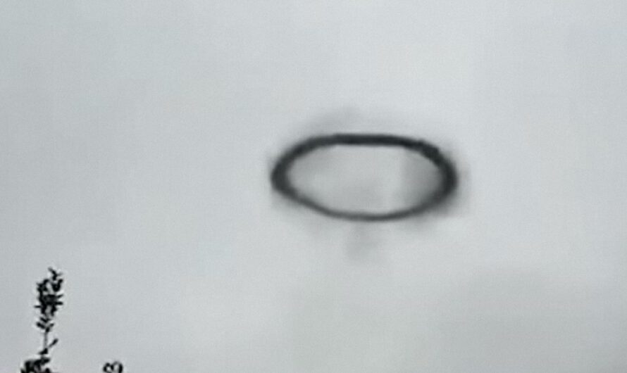 Esto Apareció en los cielos de Tucumán en Argentina