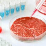 Veterinario advierte sobre los riesgos de la carne artificial
