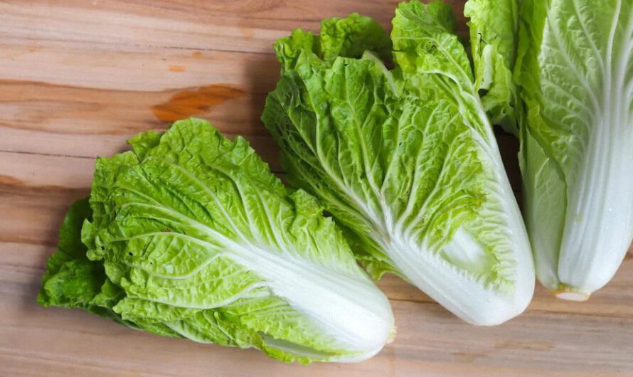 Los 5 alimentos más saludables del planeta