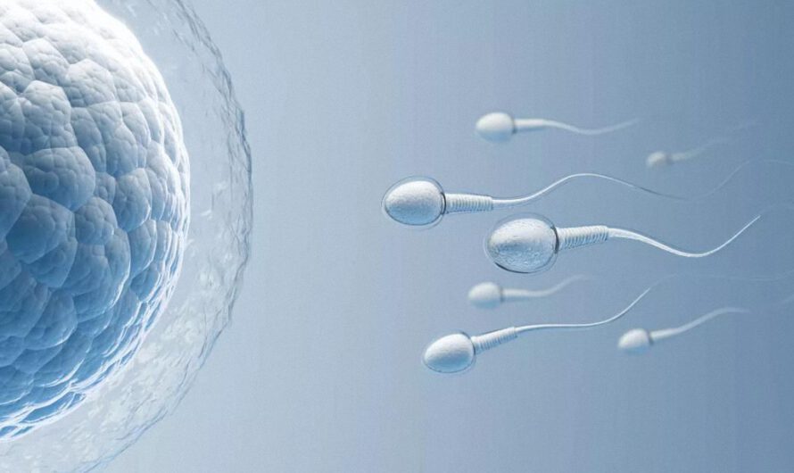 Aumenta la infertilidad masculina por el consumo de alimentos con pesticidas que son espermicidas