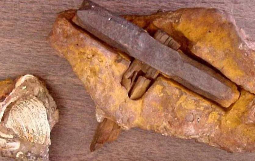 Esto dinamita todo lo que conocías: Nos han mentido