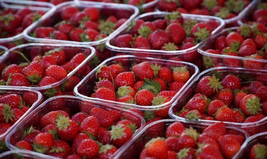 Detectan ‘químicos eternos’ en alimentos del Reino Unido