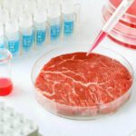 Los riesgos de la carne de laboratorio