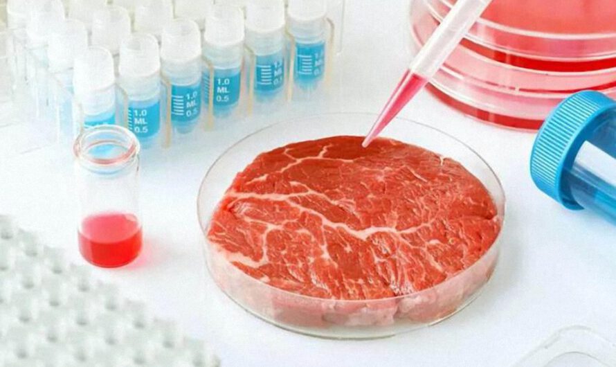 Los riesgos de la carne de laboratorio