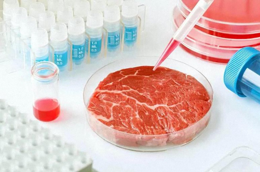 Los riesgos de la carne de laboratorio