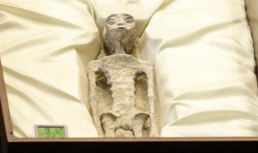 Todo sobre los no humanos cara a cara con Jaime Maussan