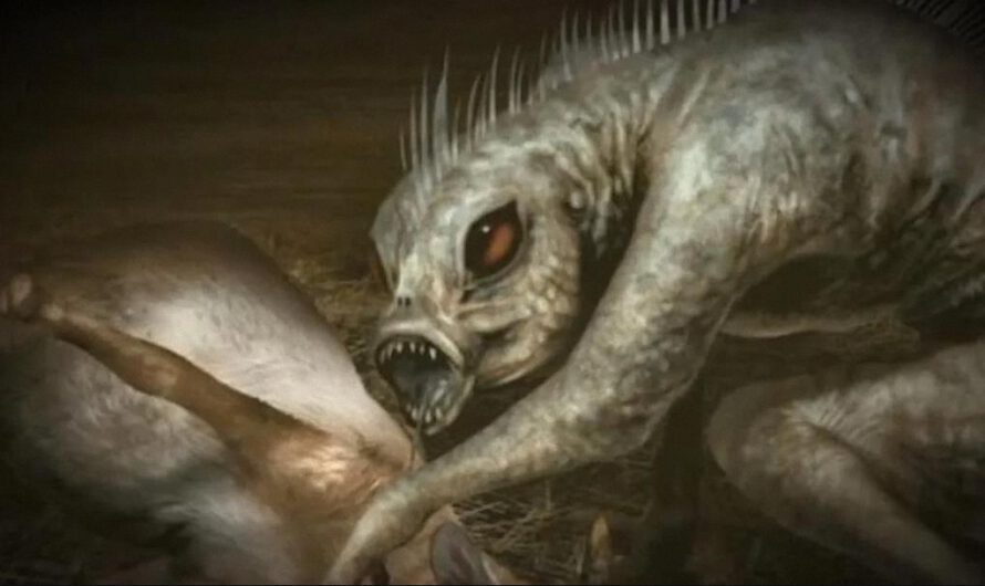 Misterioso Animal Ataca a Animales por la Noche en Lima (Perú)