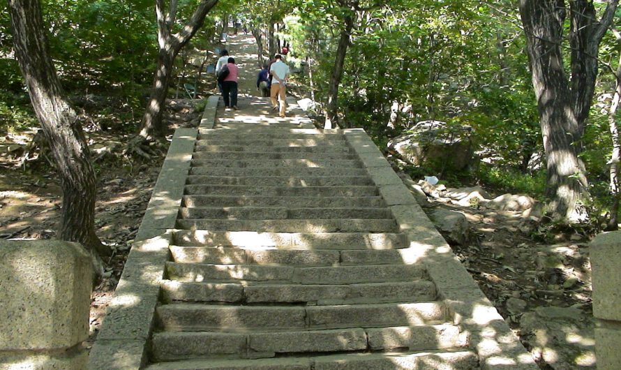 Esta simple actividad en la rutina puede prolongar significativamente la vida