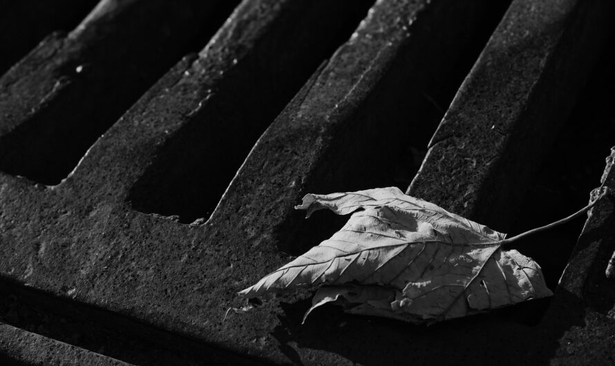 Aparecen extrañas criaturas en las Alcantarillas y Bunkers de todo el mundo