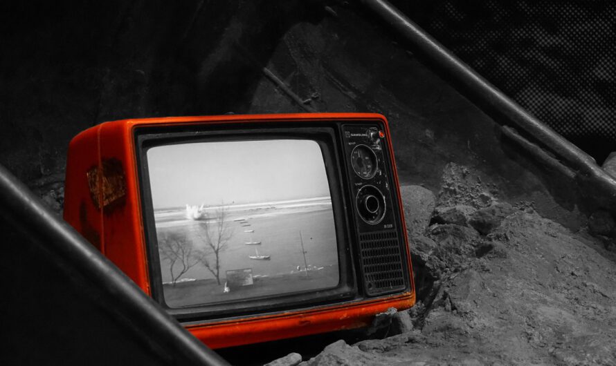 Elon Musk: «Los medios tradicionales están muriendo»