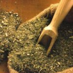 Yerba Mate: propiedades medicinales y alimenticias