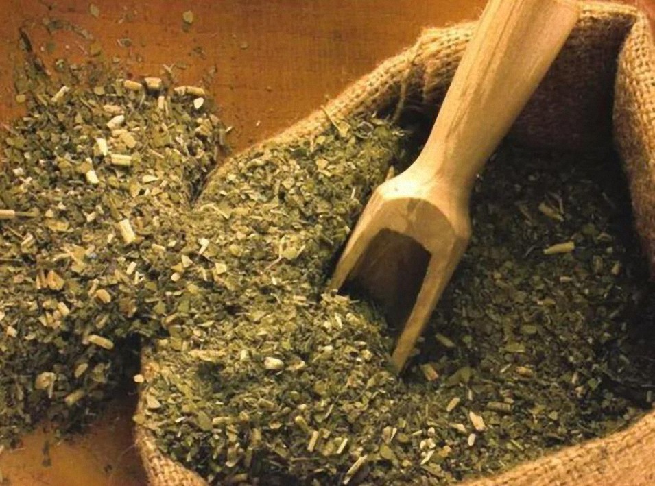 Yerba Mate: propiedades medicinales y alimenticias