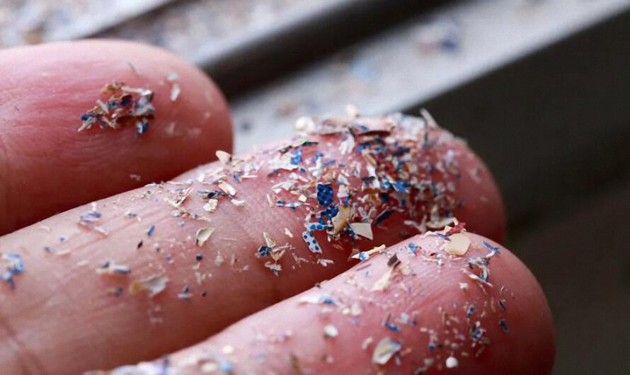 Encuentran microplásticos en testículos humanos