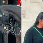 Conexión instantánea entre una mujer y un caballo enternece la Red