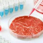 El Pentágono quiere alimentar a las tropas con carne experimental