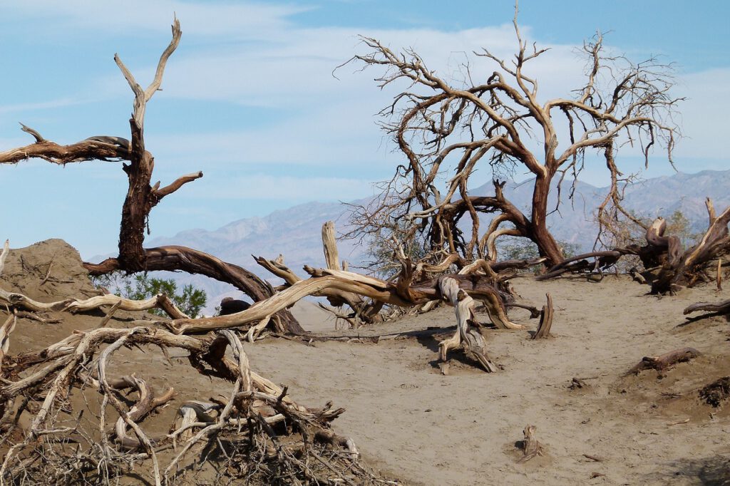 Aprobada la Ley de la Restauración de la Naturaleza –Un éxito de la Agenda 2030