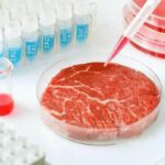 Este es el primer país europeo en aprobar la venta de carne cultivada en laboratorio