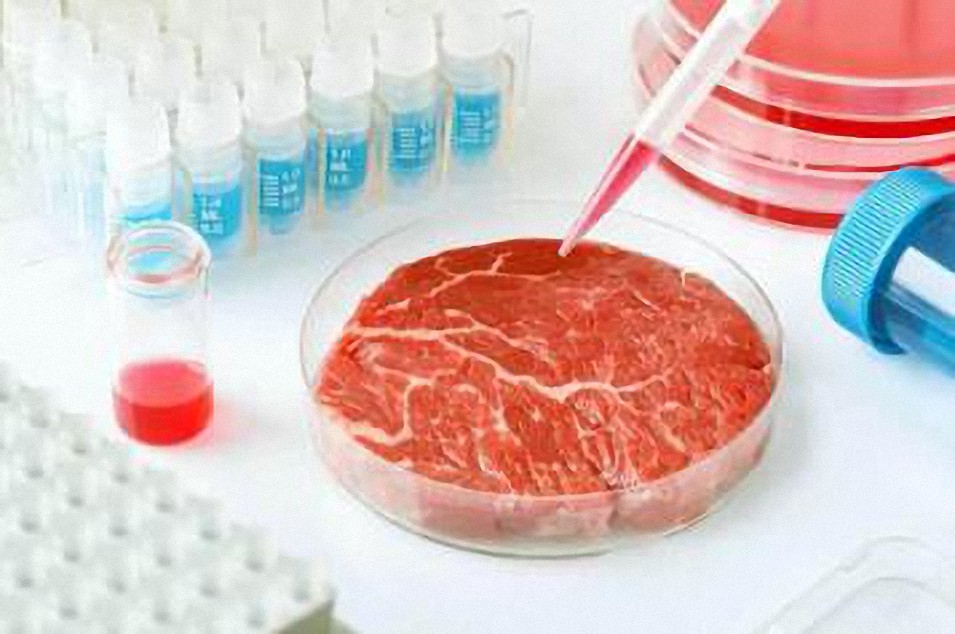 Este es el primer país europeo en aprobar la venta de carne cultivada en laboratorio