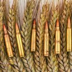 El hambre como arma de guerra: la geopolítica de la desnutrición en los nuevos conflictos del siglo XXI