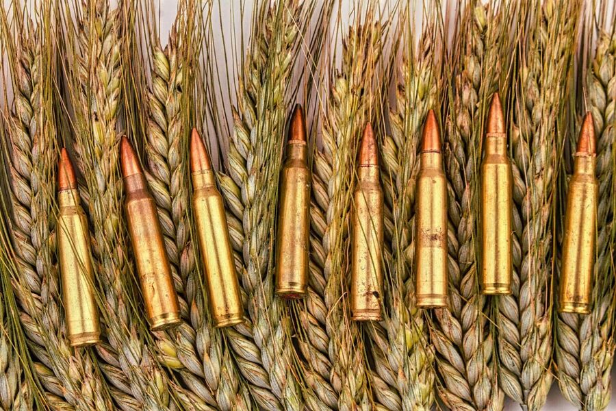 El hambre como arma de guerra: la geopolítica de la desnutrición en los nuevos conflictos del siglo XXI