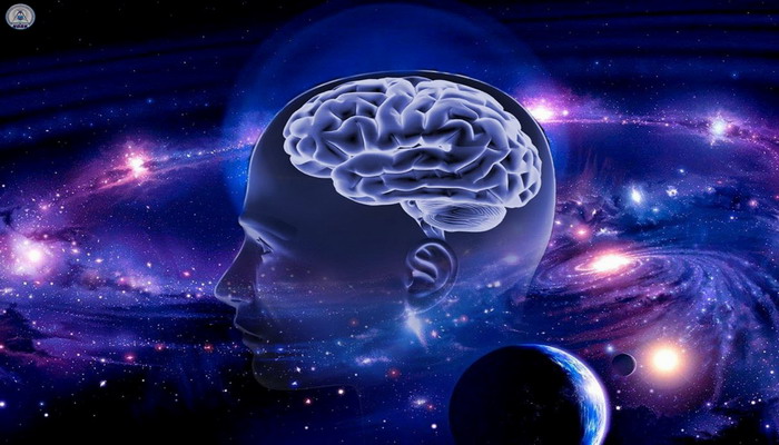 En el Universo hay un núcleo de conciencia, que es una grandiosa biocomputadora
